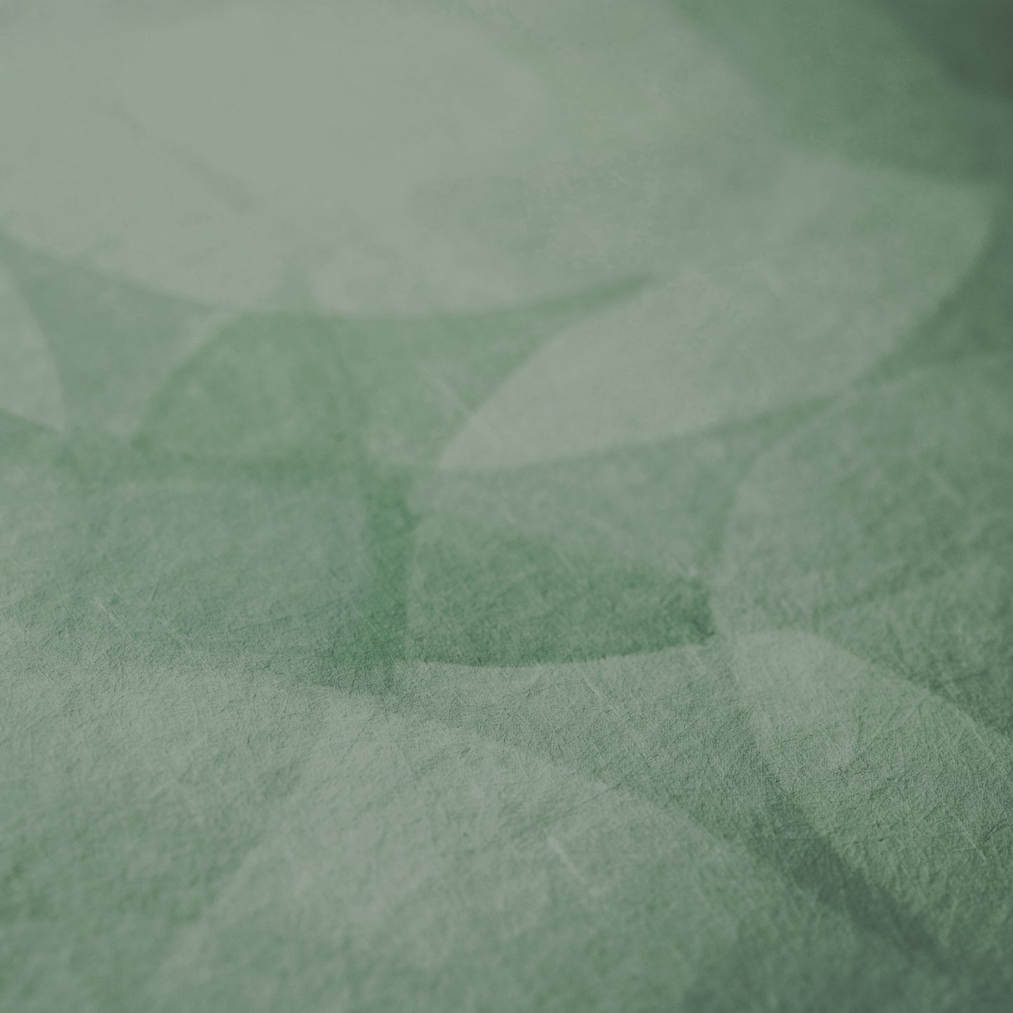 Verdant Sound