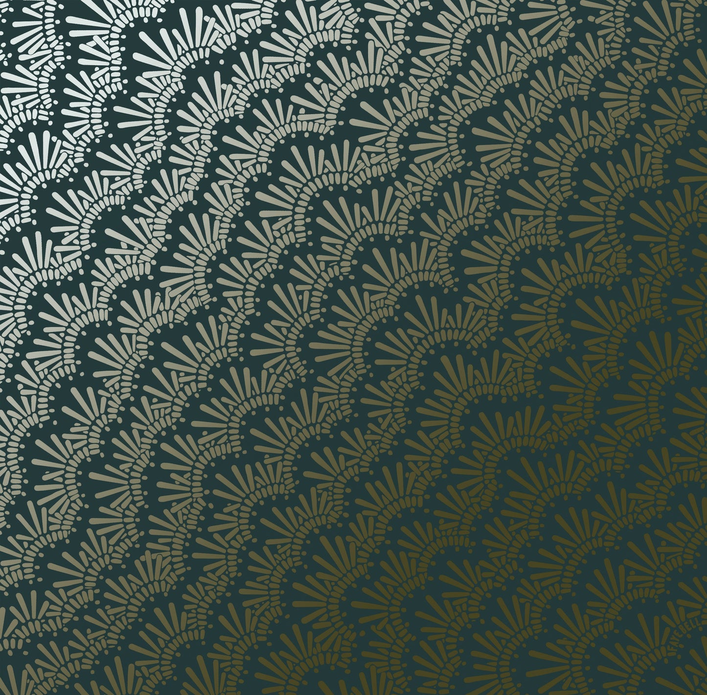 Lichen in Oak